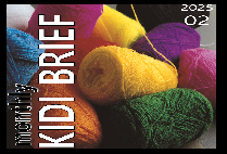 보험개발원 Monthly KIDI BRIEF (2025년 02월)
