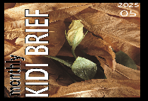 보험개발원 Monthly KIDI BRIEF (2025년 04월)