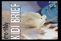 보험개발원 Monthly KIDI BRIEF (2025년 05월)