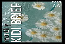 보험개발원 Monthly KIDI BRIEF (2025년 06월)